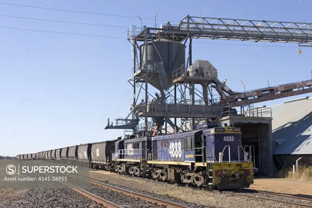 wheat train loading wheat from silo western nsw