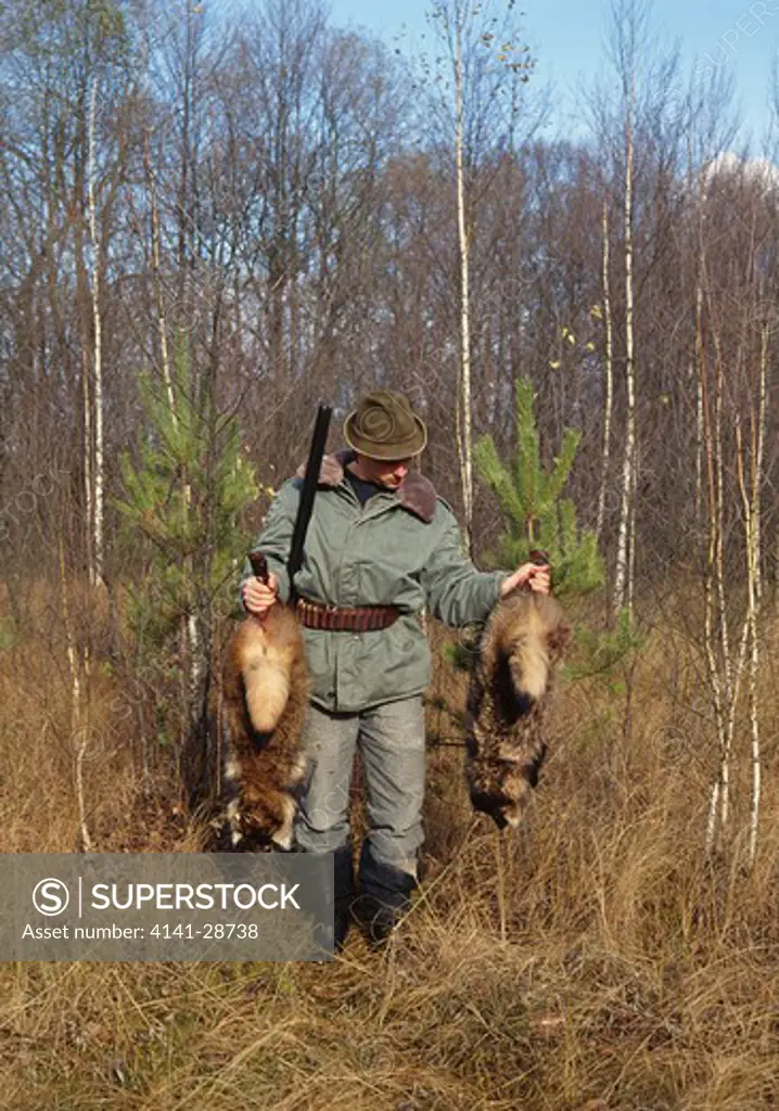 hunting raccoon dogs lithuania 