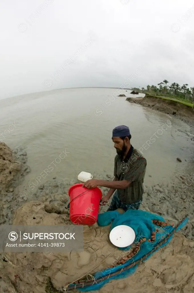 collecting shrimp fry on coast affected by erosion -climate change ganges delta bangladesh date: 16.12.2008 ref: zb799_126404_0005 compulsory credit: woodfall wild images/photoshot 