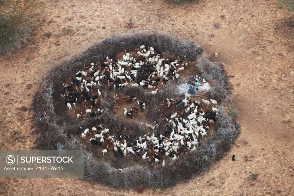 Aerial View Of Maasai Or Masai  Boma Or Enclosure. Livestock Is Kept Close To The Huts And Surrounded By Thorn Bushes As Protection From Nocturnal Predators. Kenya