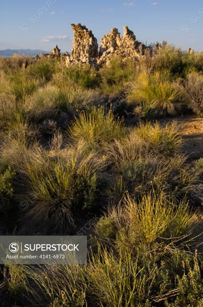 tufa formations & grasses mono lake, california, usa