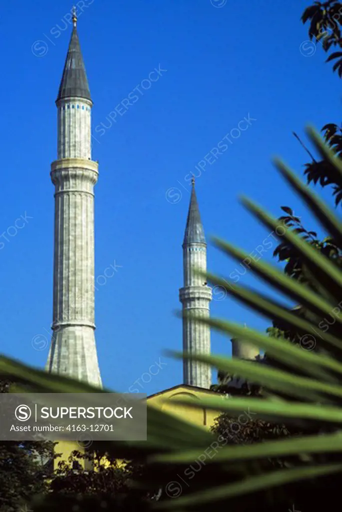 TURKEY, ISTANBUL, PALM LEAF WITH MINARETS OF HAGIA ST. SOPHIA BACKGROUND