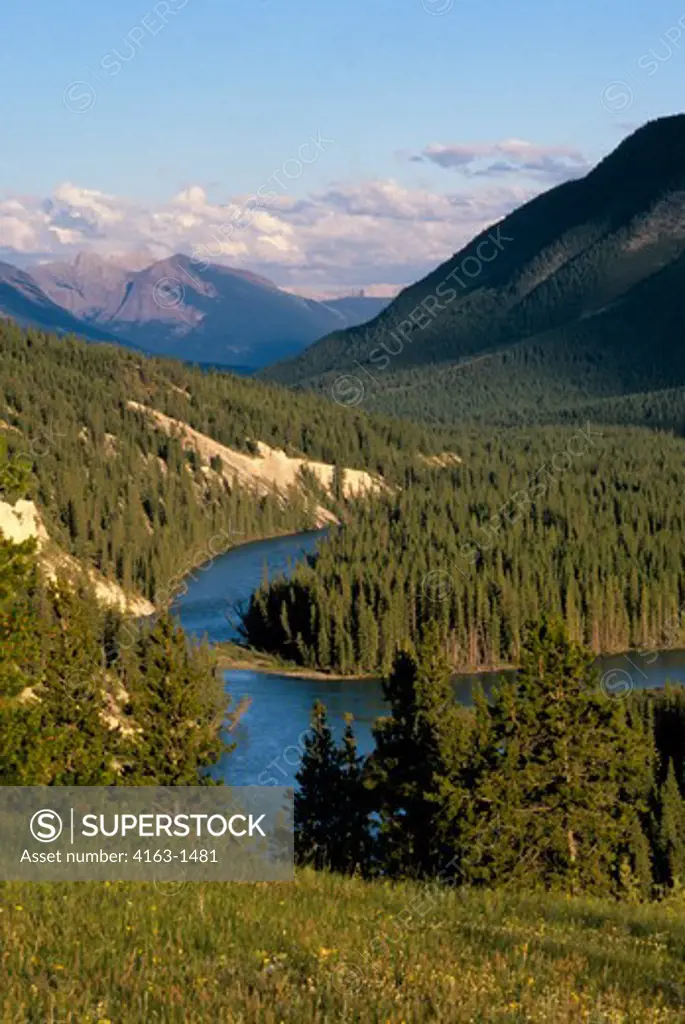 CANADA, ALBERTA, ROCKY MOUNTAINS, BANFF NATIONAL PARK, BOW RIVER WITH LODGEPOLE PINE FOREST