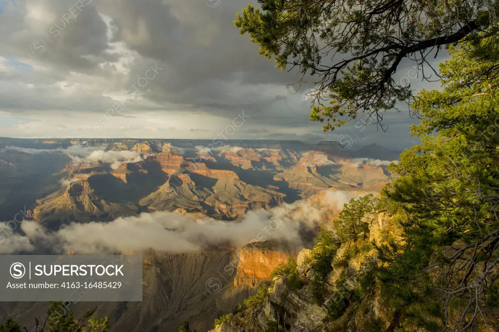 View of the Grand Canyon from the Yavapai Point area on the South Rim with clearing clouds after a thunderstorm in the Grand Canyon National Park in northern Arizona, USA.