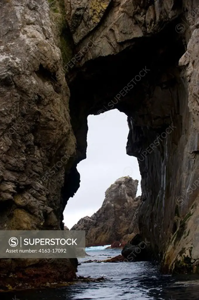 NEW ZEALAND, SUB-ANTARCTICA, SNARES ISLAND, ARCH