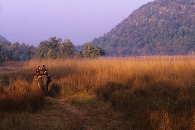 INDIA, BANDHAVGARH NATIONAL PARK, TOURISTS ON ELEPHANT