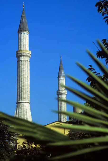 TURKEY, ISTANBUL, PALM LEAF WITH MINARETS OF HAGIA ST. SOPHIA BACKGROUND