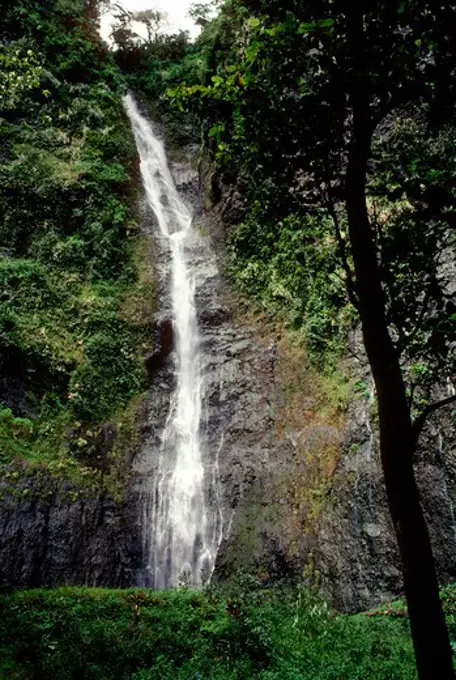 TAHITI, FRENCH POLYNESIA, WATERFALL IN RAINFOREST