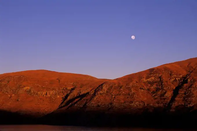 NEW ZEALAND, SOUTH ISLAND, NEAR CHRISTCHURCH, LYTTELTON BAY ENTRANCE, MOON AT SUNRISE