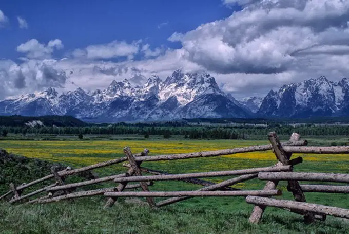 USA, WYOMING, GRAND TETON NATIONAL PARK, TETON RANGE, BUCKRAIL FENCE IN FOREGROUND