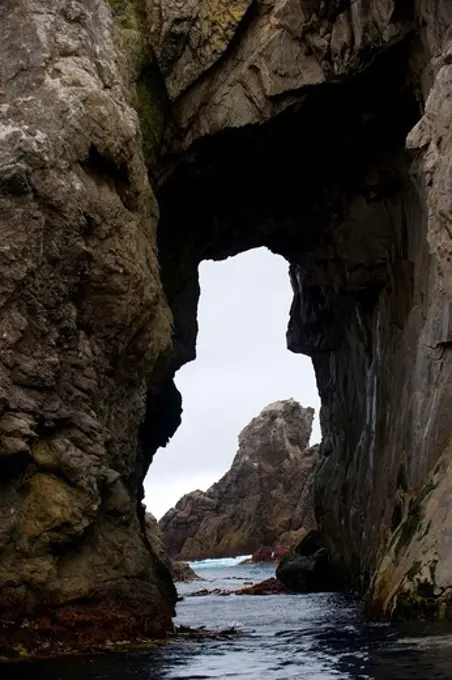 NEW ZEALAND, SUB-ANTARCTICA, SNARES ISLAND, ARCH