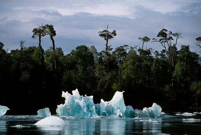 SOUTH CHILE, LAGUNA SAN RAFAEL NATIONAL PARK  S.AM