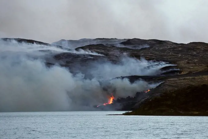 CHILE, TORRES DEL PAINE NATIONAL PARK, BUSH FIRES