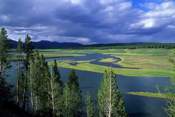 USA, WYOMING, YELLOWSTONE NATIONAL PARK, HAYDEN VALLEY, YELLOWSTONE RIVER