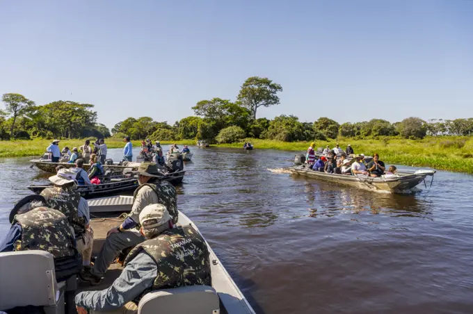 Tourists in boat on excursion to watch the wildlife in one of the tributaries of the Cuiaba River near Porto Jofre in the northern Pantanal, Mato Grosso province in Brazil.
