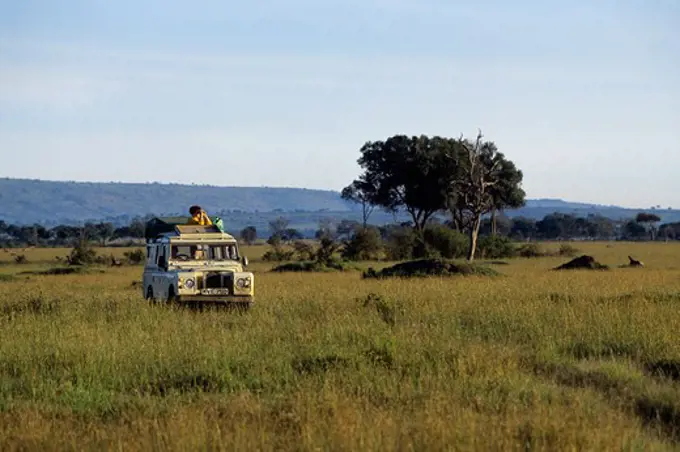 Kenya, Masai Mara, Tourists On Game-Viewing Drive