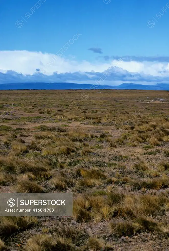 CHILE, SOUTHERN PATAGONIA, PAMPAS GRASSLANDS