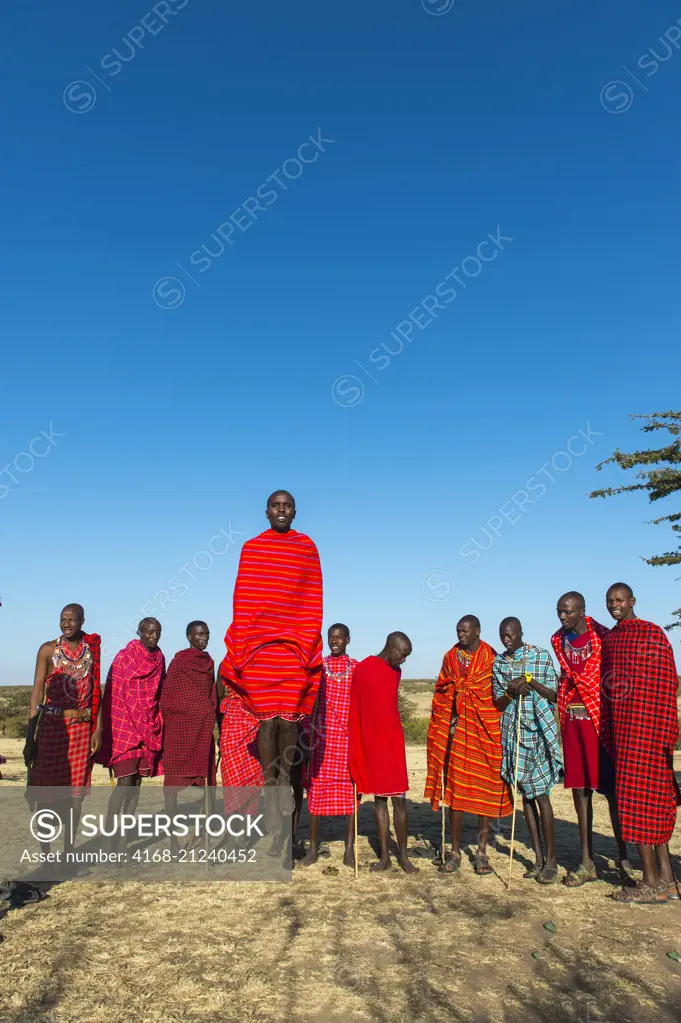 Young Maasai men performing a traditional jumping dance in the Masai Mara in Kenya.