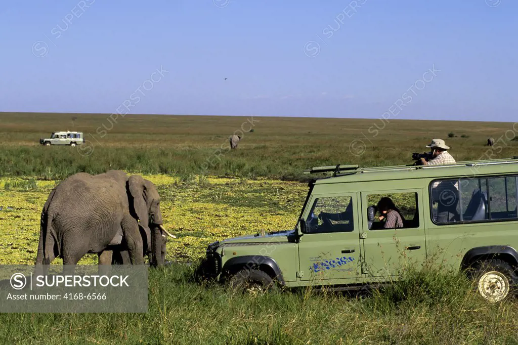 kenya, masai mara, elephant, tourists