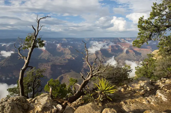 View of the Grand Canyon from the Yavapai Point area on the South Rim with clearing clouds from a thunderstorm in the Grand Canyon National Park in northern Arizona, USA.