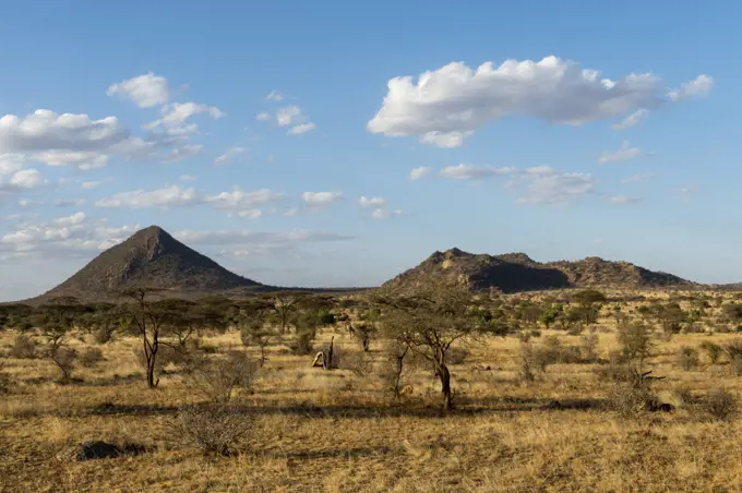 Dry landscape in the Samburu National Reserve in Kenya.