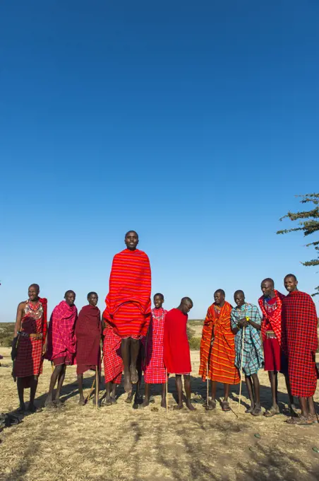 Young Maasai men performing a traditional jumping dance in the Masai Mara in Kenya.