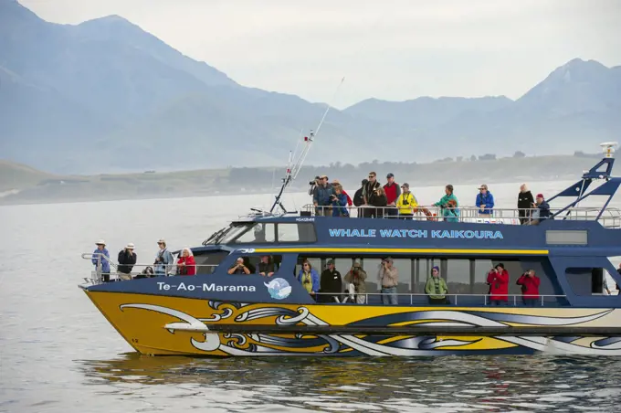 Tourists on a whale watching boat off the coast of Kaikoura on the South Island in New Zealand.