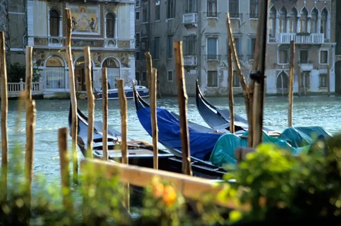 Italy, Venice, Grand Canal