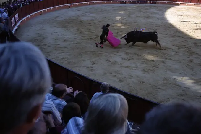 Bullfighting, Portugal