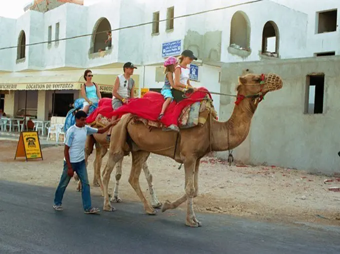 Tourists riding camels. Jerba. Tunisia.