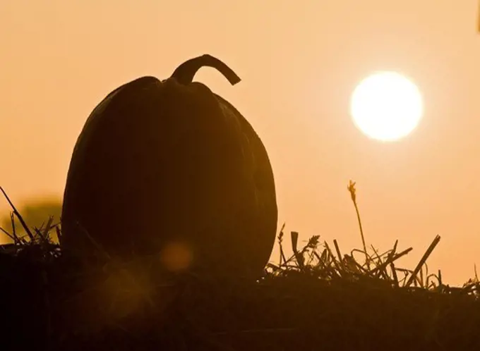 Pumpkin and rising sun, Oland(Öland)