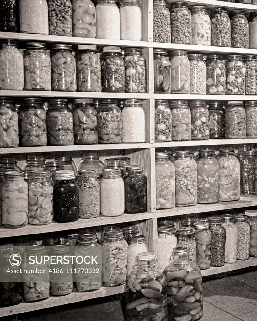 1930s PANTRY WALL OF HARVESTED AND CANNED GOODS VEGETABLES AND FRUITS BEANS PEAS PICKLES PEACHES PEARS LIMAS