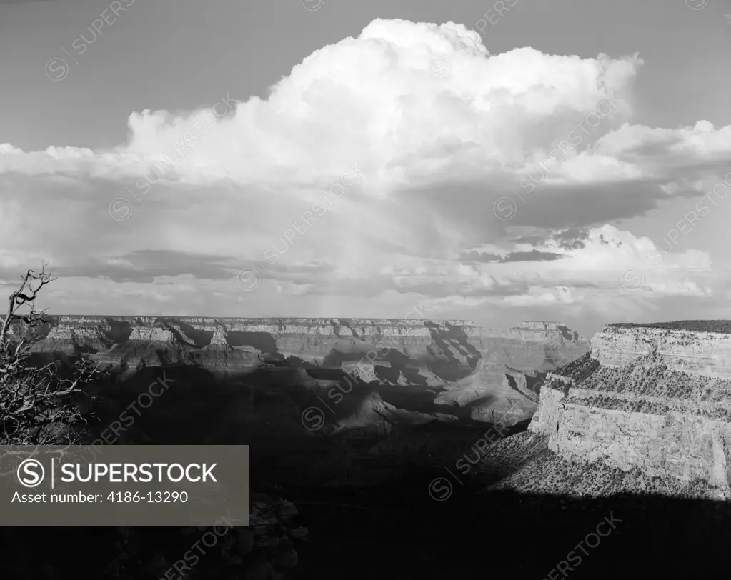 1930S 1940S Grand Canyon