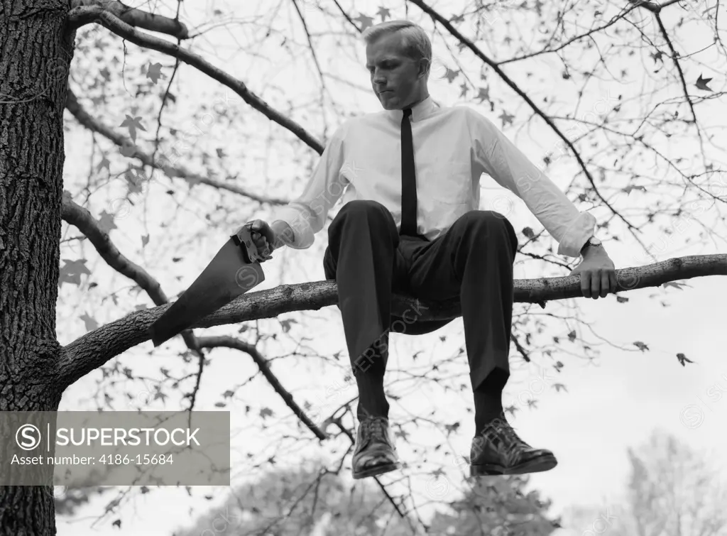 1960S Businessman In Shirt And Tie Sitting On Tree Limb He'S Sawing