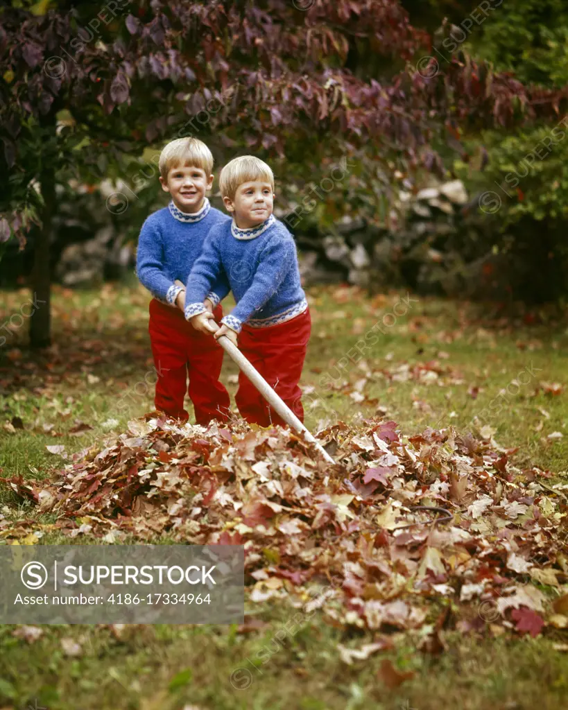 1980s BLONDE BOYS DRESSED ALIKE IN RED PANTS BLUE SWEATER RAKING AUTUMN LEAVES IN YARD ONE BOY LOOK AT CAMERA OTHER MAKING FACE