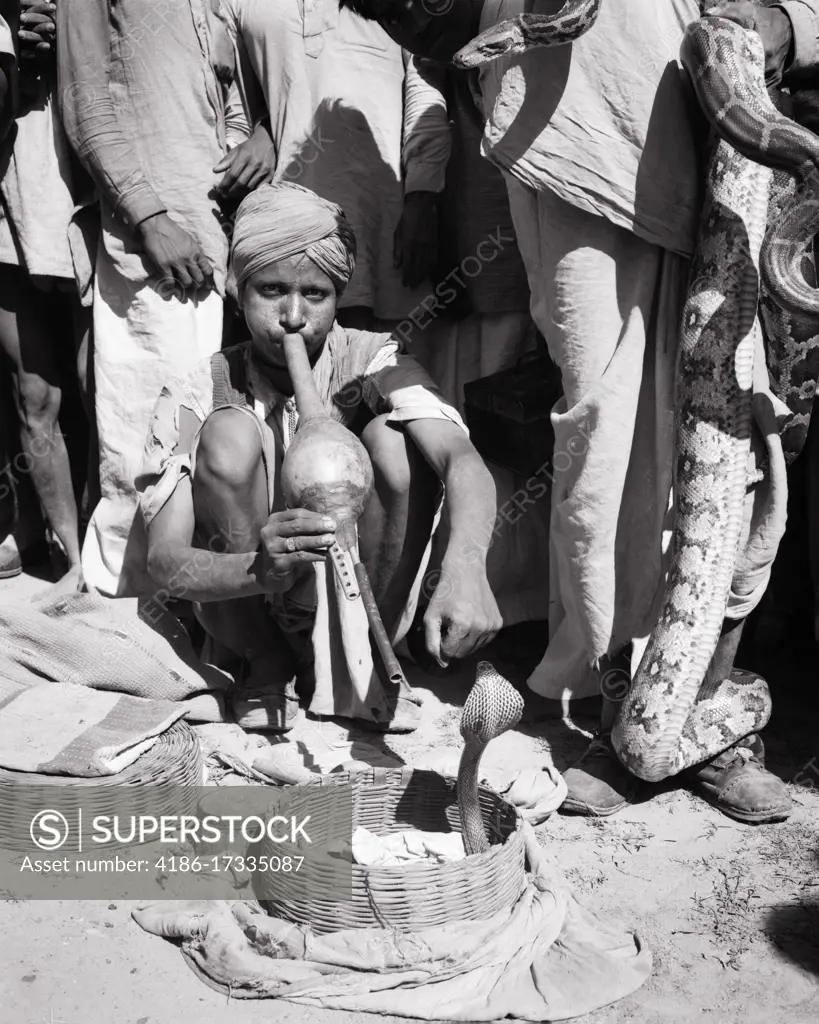 1950s COBRA Naja naja AND PYTHON Pythonidae SNAKES AND STREET PERFORMERS ONE CHARMER MAN PLAYING A PUNGI LOOKING AT CAMERA INDIA