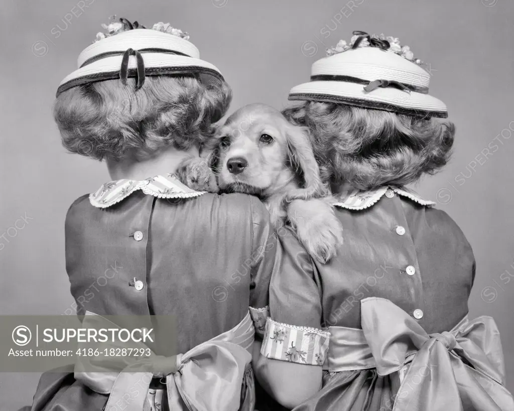 1950s TWO TWIN GIRLS BACK TO CAMERA FANCY HATS AND DRESSES HOLDING COCKER SPANIEL PUPPY LOOKING AT CAMERA BETWEEN THEM 