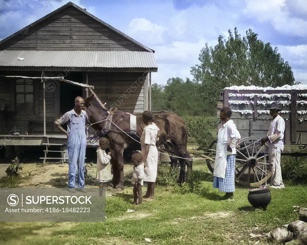 1930s AFRICAN AMERICAN SHARECROPPING TENANT FARM FAMILY OUTSIDE THEIR HOME WITH MULE DRAW WAGON OF PICKED COTTON MISSISSIPPI USA