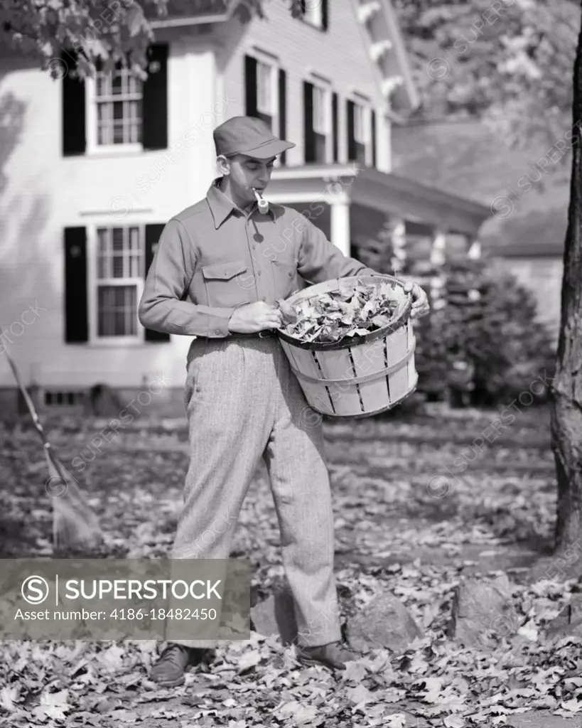 1940s TALL MAN SMOKING A PIPE HOLDING BASKET FULL OF RAKED FALL AUTUMN  LEAVES WORKING IN SUBURBAN FRONT YARD - SuperStock