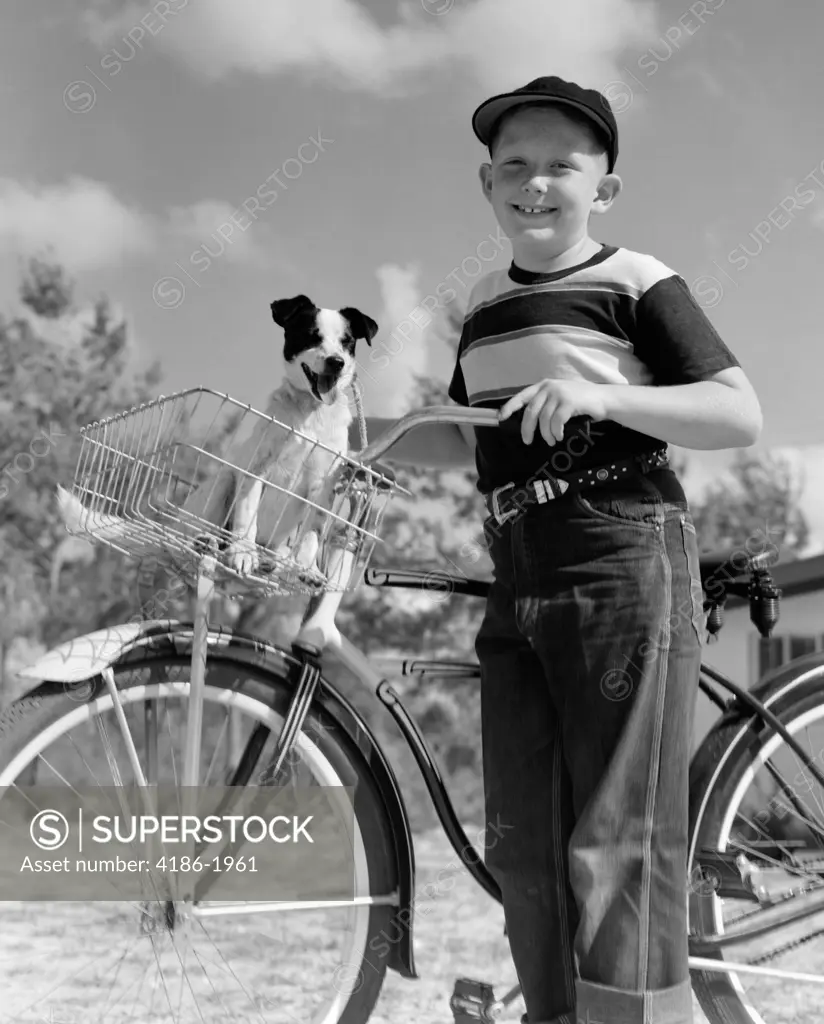 1950S Boy On Bike With Puppy In Basket