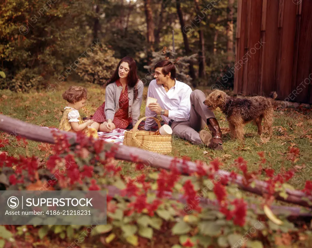 1970s FAMILY MOM DAD GIRL PET DOG HAVING PICNIC IN BACKYARD