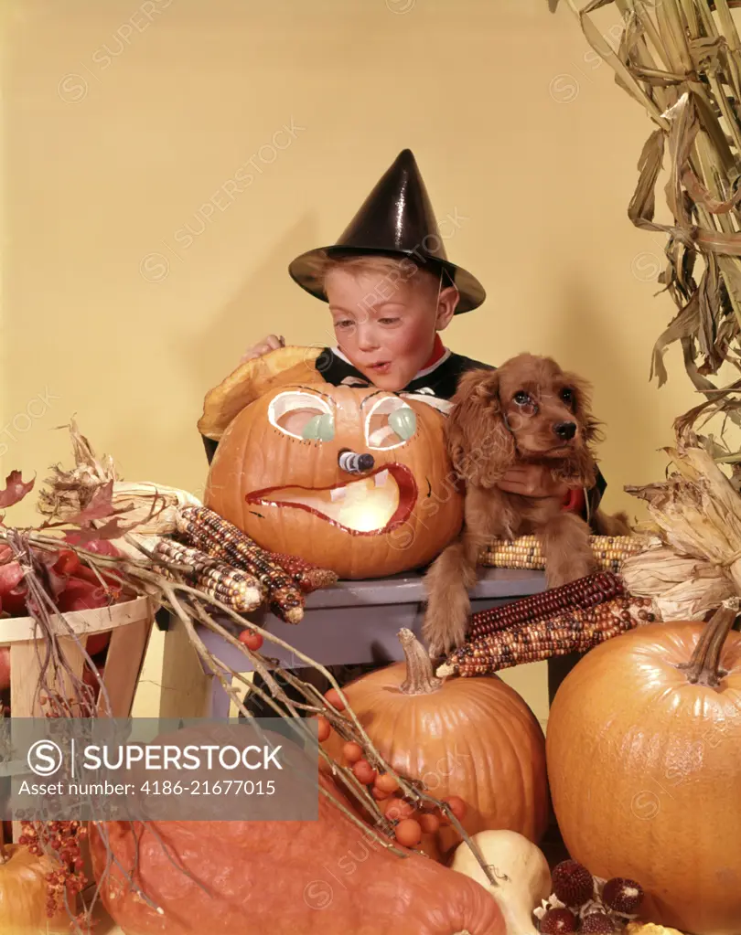 1960s EXCITED BOY WEARING BLACK WITCH COSTUME HAT LOOKING INTO CARVED PUMPKIN JACK-O-LANTERN