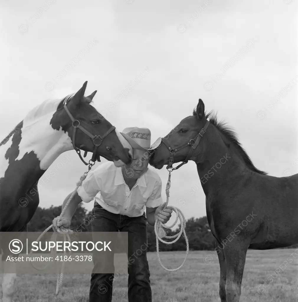 1960S Boy Wearing Cowboy Hat Holding Ropes Reins Harness Halter Of 2 Horses  One On Either Side Of His Face Kissing Him Funny - SuperStock