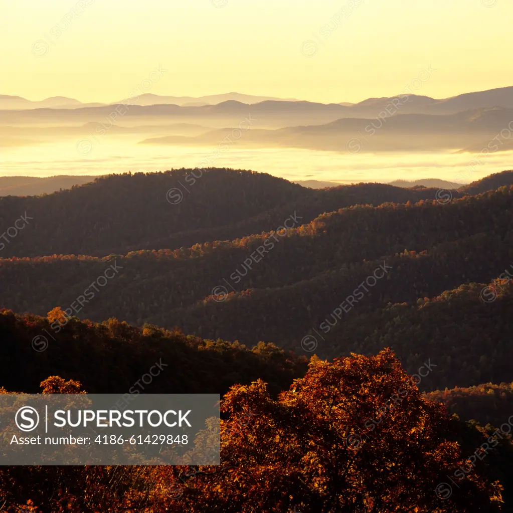 BLUE RIDGE PARKWAY NC SCENIC VIEW OF MOUNTAINS FROM PISGAH LEDGE IN AUTUMN