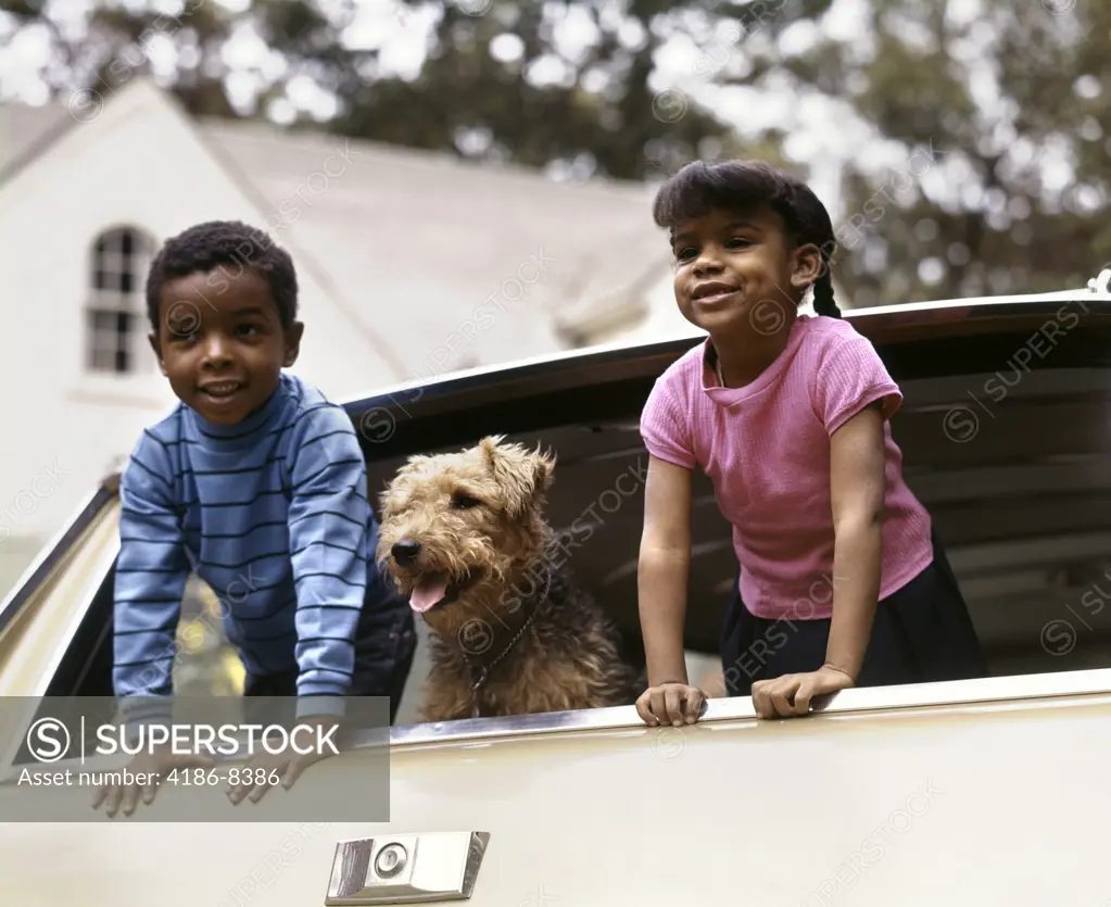 1970S Smiling African American Boy And Girl And Airedale Dog Leaning Out Of Station Wagon Rear Window