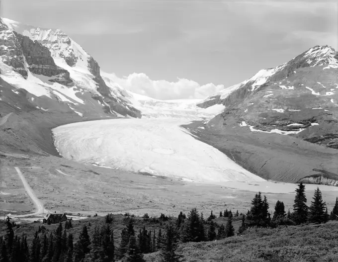 Columbia Ice Fields Canada Mountains