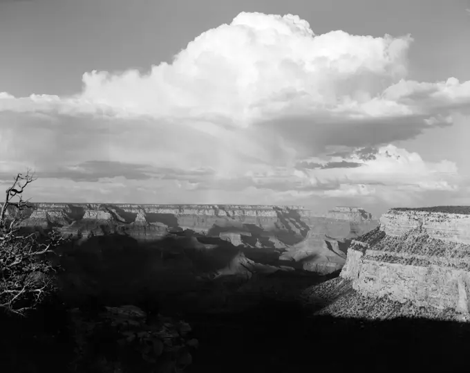 1930S 1940S Grand Canyon