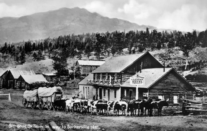 1880S 1881 Bill Bose Ox Team On Way To Barkerville Covered Wagon Clinton Frontier Hotel From Old Postcard Canada