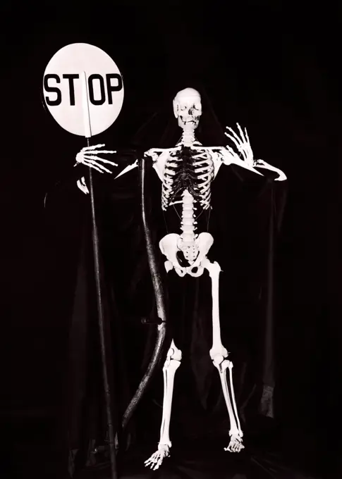 1930s SKELETON LOOKING AT CAMERA HOLDING A WARNING STOP SIGN AND GRIM REAPER SCYTHE