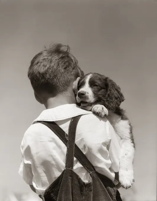 1940S Back View Of Boy In Corduroys Holding Springer Spaniel Puppy